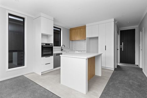 Photo of property in 4u2 Carey Street, Maeroa, Hamilton, 3200