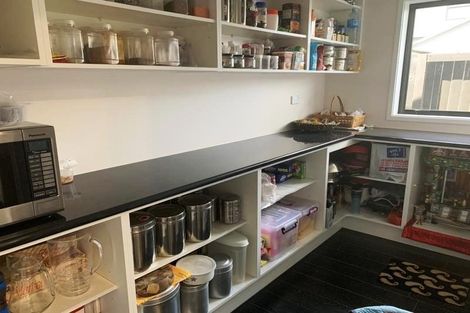 Photo of property in 41 Lulu Avenue, Chartwell, Hamilton, 3210