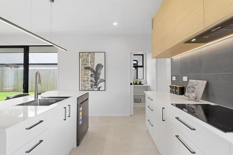 Photo of property in 75 Ed Hillary Drive, Rolleston, 7615