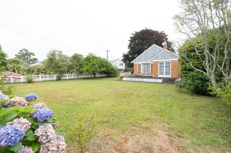 Photo of property in 19 Beale Street, Hamilton East, Hamilton, 3216