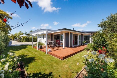 Photo of property in 14a Sandilands Street, Feilding, 4702