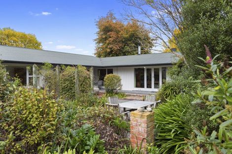 Photo of property in 124 Double Corner Road, Amberley, 7481