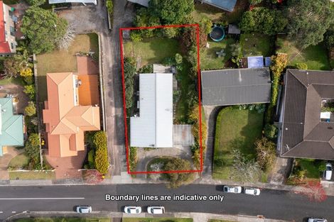 Photo of property in 44 Woodstock Road, Forrest Hill, Auckland, 0620