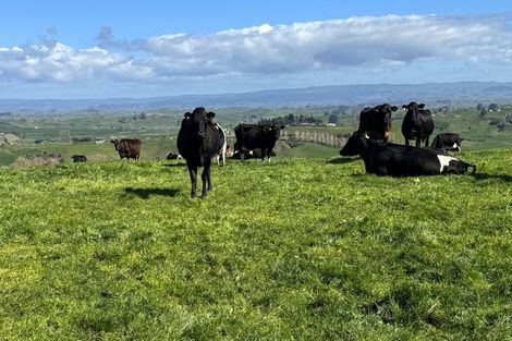 Photo of property in 18 Paewhenua Road, Maihiihi, Otorohanga, 3972