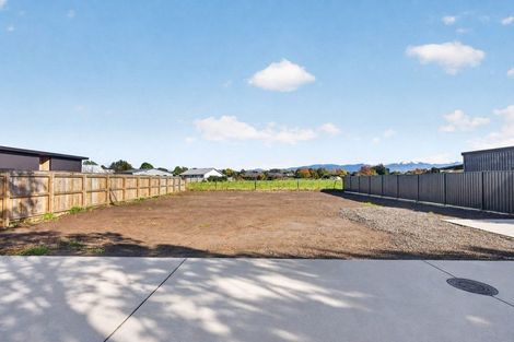 Photo of property in 42d Colville Street, Masterton, 5810