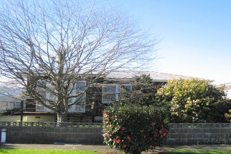 Photo of property in 24 Cobham Street, Levin, 5510