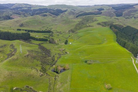 Photo of property in 158 Pahiatua Aokautere Road, Aokautere, 4471