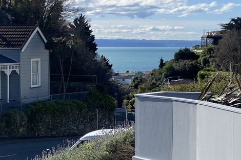 Photo of property in 133 Milton Road, Bluff Hill, Napier, 4110