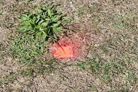 Photo of property in 161 Wairere Road, Wainui, 4010