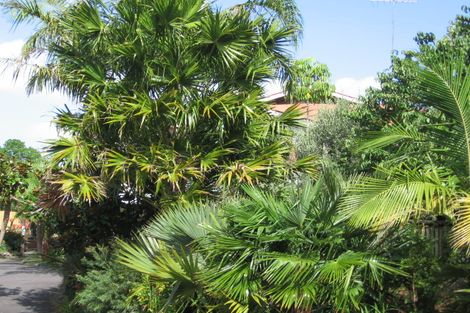 Photo of property in 11 Glade Place, Birkenhead, Auckland, 0626