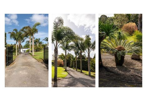 Photo of property in 10 Munro Road East, Minden, Whakamarama, 3179