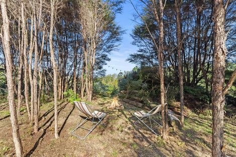 Photo of property in 99 Otonga Valley Road, Raglan, 3295