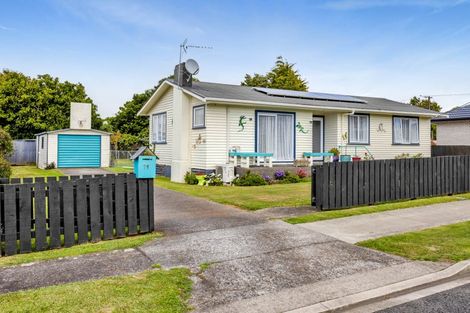 Photo of property in 99 Hathaway Street, Stratford, 4332