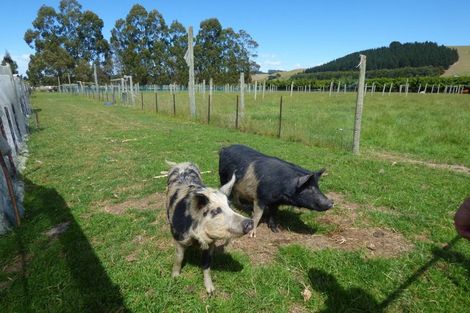 Photo of property in 15 Russell Road, Oamaru North, Oamaru, 9494