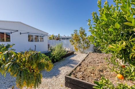 Photo of property in 22 Ellison Street, Napier South, Napier, 4110