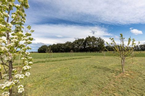 Photo of property in 162 Taylor Road, Ongaonga, 4278