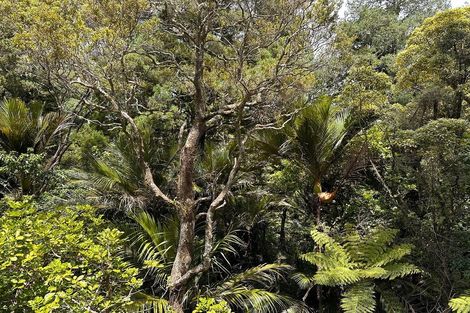 Photo of property in 61 Otitori Bay Road, Titirangi, Auckland, 0604