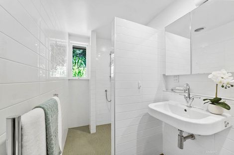 Photo of property in 21 Colville Street, Newtown, Wellington, 6021