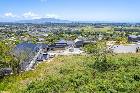 Photo of property in 81 Kotare Street, Waikanae, 5036