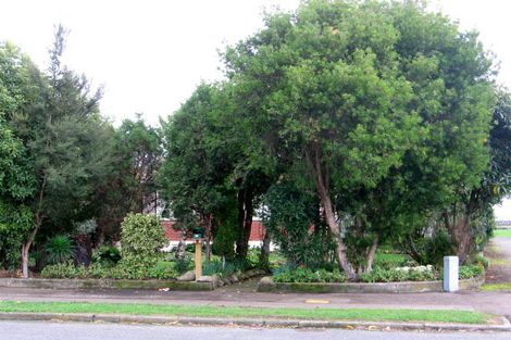 Photo of property in 39 Masters Crescent, Masterton, 5810