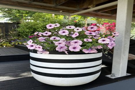 Photo of property in 2/46 Sunset Road, Unsworth Heights, Auckland, 0632