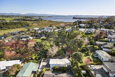 Photo of property in 11 Graham Place, Bellevue, Tauranga, 3110