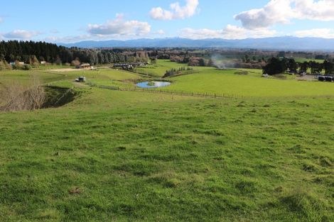Photo of property in 17 Hill Street, Te Kuiti, 3910