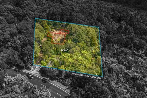 Photo of property in 252 Piha Road, Piha, 0772