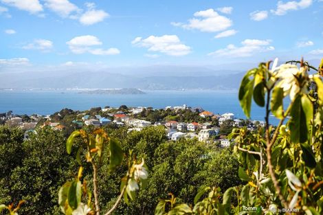 Photo of property in 44 Highbury Road, Highbury, Wellington, 6012