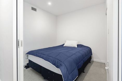 Photo of property in Alpha Apartments, 501/4u Elizabeth Street, Mount Victoria, Wellington, 6011