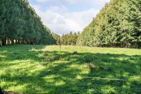 Photo of property in 486 Esdaile Road, Whakamarama, Tauranga, 3180
