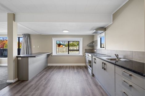 Photo of property in 27 Hawkswood Street, Waiau, 7332