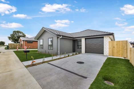 Photo of property in 48 Scenic Rise, Rototuna North, 3281