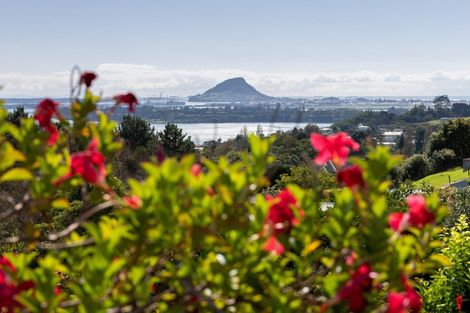 Photo of property in 16r Gunbar Drive, Welcome Bay, Tauranga, 3175