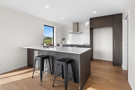 Photo of property in 9 Lumino Terrace, Peacocke, 3206