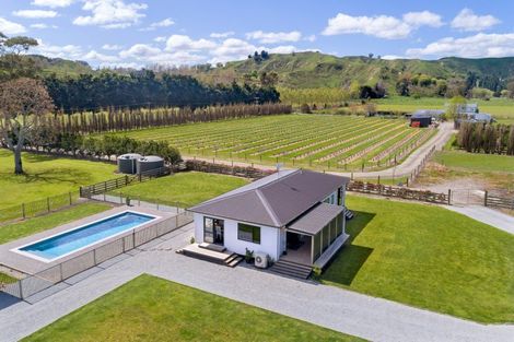 Photo of property in 144 Ngakoroa Road, Ormond, Gisborne, 4071