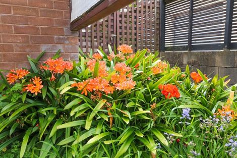 Photo of property in 301 Marshall Crescent, Thames, 3500