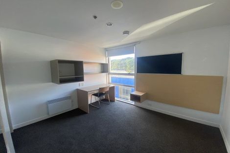 Photo of property in Hanson House, 7a/27 Hanson Street, Mount Cook, Wellington, 6021