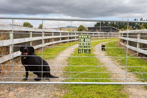Photo of property in 220 Cowper Road, Dannevirke, 4976