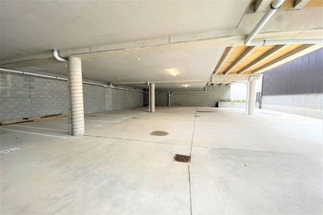 Photo of property in Aniva Terrace, 19 Arney Street, Newtown, Wellington, 6021