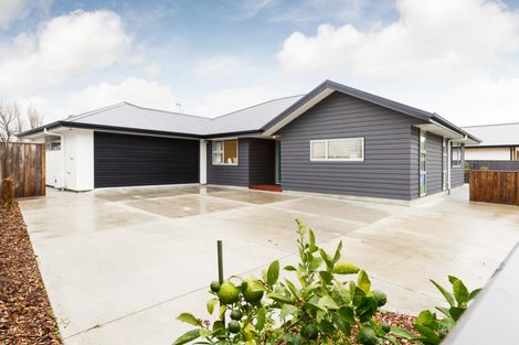 Photo of property in 51 Dahlia Street, Palmerston North, 4410