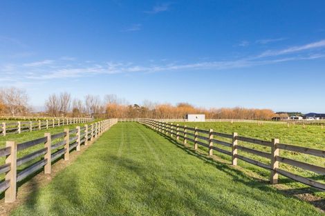 Photo of property in 88 Mahua Road, Feilding, 4777