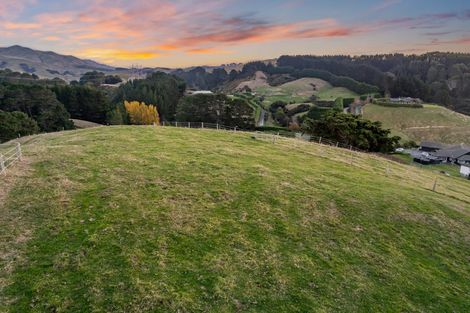 Photo of property in 105a Bradey Road, Pauatahanui, Porirua, 5381