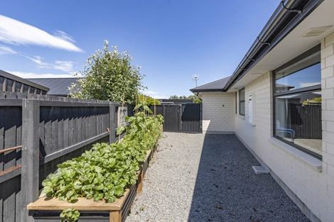 Photo of property in 80 Petries Road, Woodend, 7610
