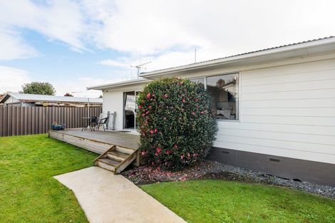 Photo of property in 384 Kahikatea Drive, Dinsdale, Hamilton, 3204