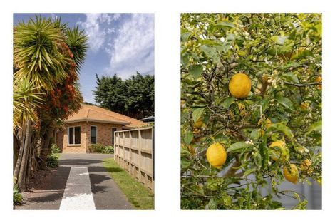 Photo of property in 22 Parnwell Place, Ohauiti, Tauranga, 3112