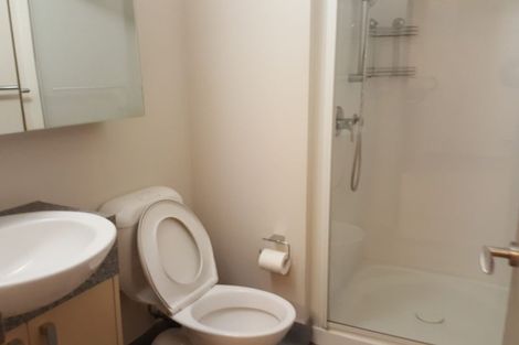 Photo of property in Dual Apartments, 210/142u Vivian Street, Te Aro, Wellington, 6011