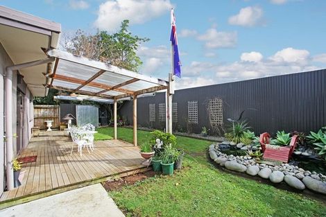 Photo of property in 17a Hooper Avenue, Pukekohe, 2120