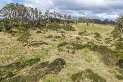 Photo of property in 379 Otake Road, Marotiri, Taupo, 3377