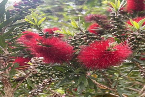 Photo of property in 9 Mariners Way, Whitby, Porirua, 5024